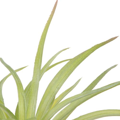 Artículo Plantas Artificiales Tillandsia Verde con Palo Ø17cm 3uds
