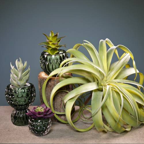 Floristik24 Tillandsia artificial para pegar planta artificial verde claro 30cm