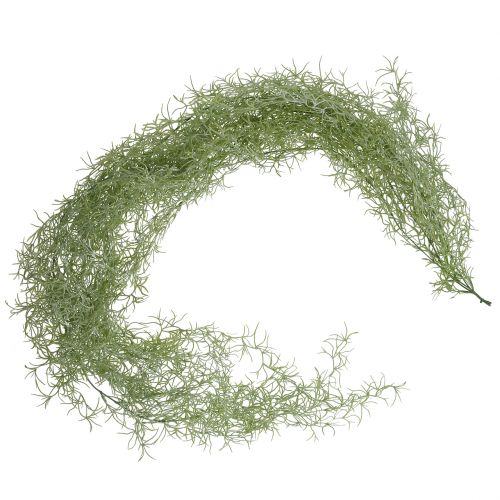 Floristik24 Percha Tillandsia verde 160cm