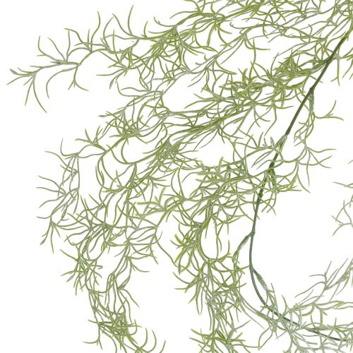 Floristik24 Percha Tillandsia verde 160cm
