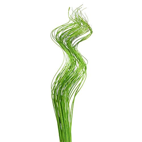 Ting Ting Rizado 60cm Verde 40uds