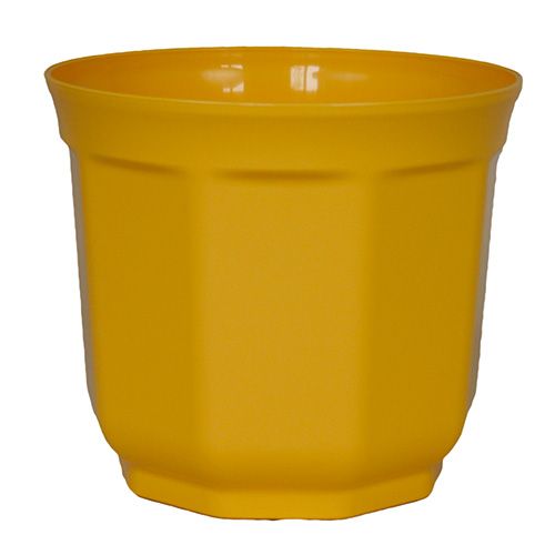 Floristik24 Jardinera Tino 13cm amarillo (10p.)