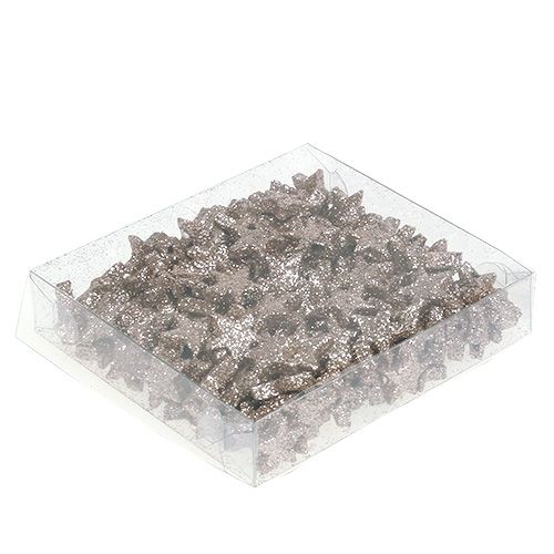Floristik24 Sobremesa star mica champagne 1,5cm 144pcs