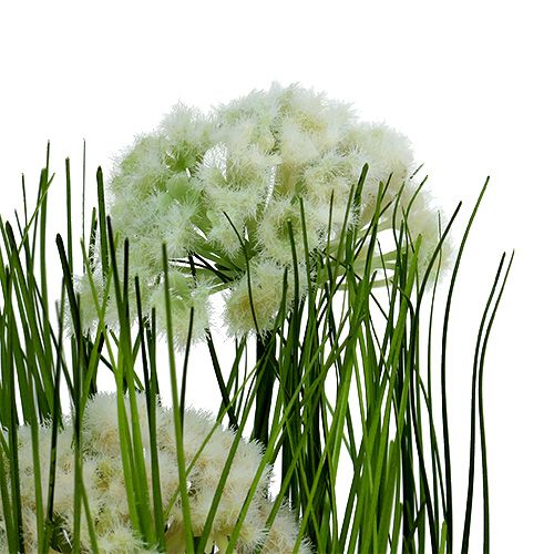 Floristik24 Decoración de mesa deco hierba en maceta verde 30cm