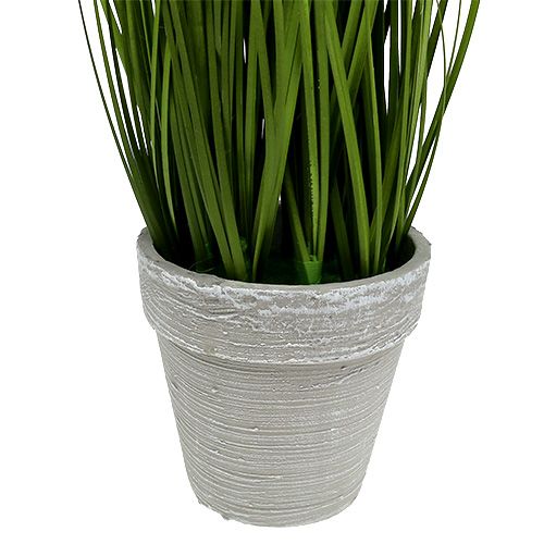 Floristik24 Decoración de mesa deco hierba en maceta verde 30cm