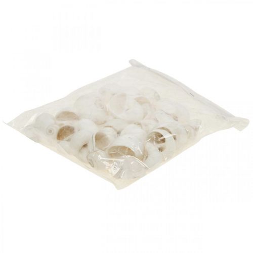 Floristik24 Decoración de mesa marítimo, caracoles vacíos blanco 3-4,5cm 500g