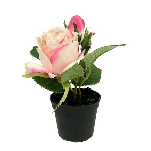 Decoración de la mesa Rose in the pot cream 14cm
