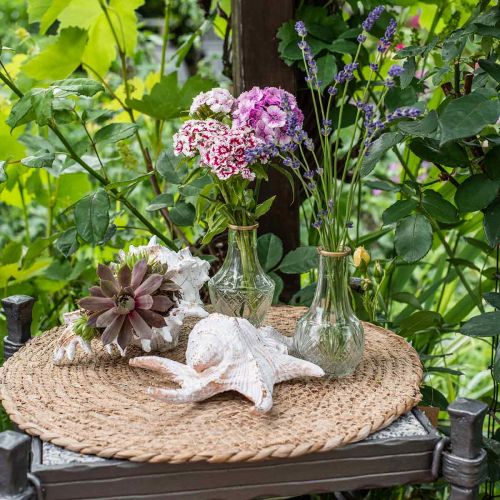 Floristik24 Mantel redondo Ø40cm algas marinas decoración de mesa mantel natural
