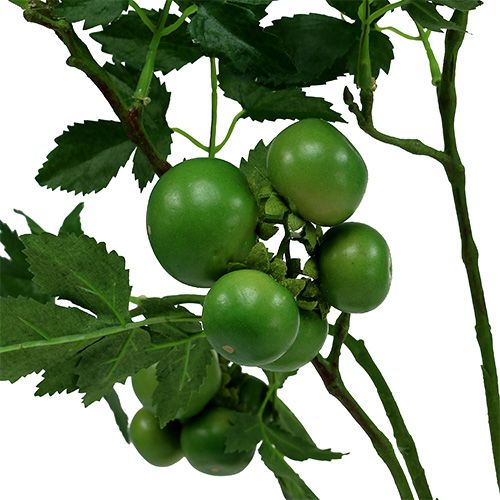 Floristik24 Rama de tomate L60cm verde
