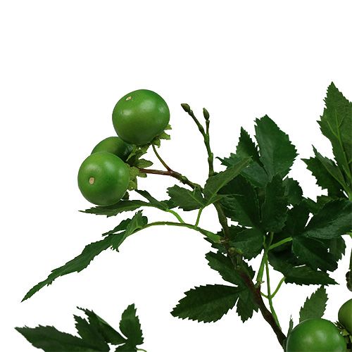 Floristik24 Rama de tomate L60cm verde