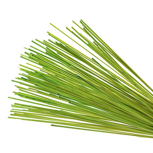 Palos decorativos Tonkin 70cm verde claro 150 piezas