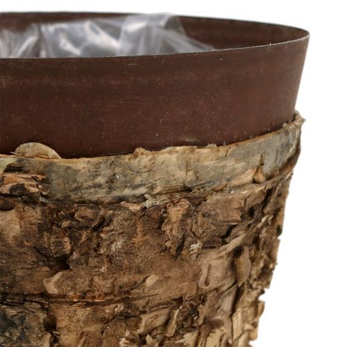 Floristik24 Maceta con abedul y metal Ø17,5cm H16,5cm 1p
