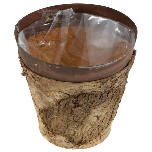 Floristik24 Maceta con abedul y metal Ø17,5cm H16,5cm 1p