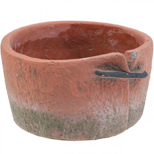 Floristik24 Macetero de hormigón macetero macetero de terracota Ø18,5cm H10,5cm