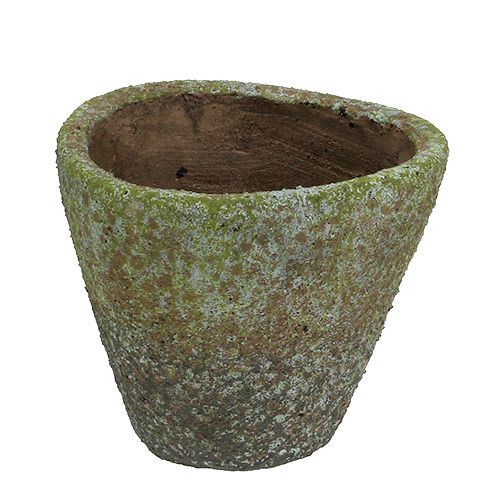 Floristik24 Maceta gris musgo Ø16cm H13,5cm 1pc