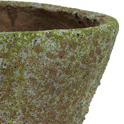 Floristik24 Maceta gris musgo Ø16cm H13,5cm 1pc
