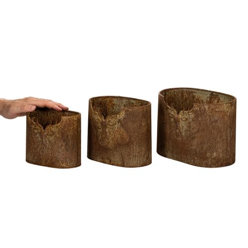 Juego de 3 macetas ovaladas de metal con diseño rústico de ciervo, 24 cm. | Floristik24.es