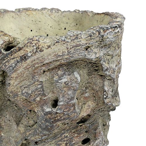 Floristik24 Maceta como tronco de árbol Ø10,5cm H12cm 2pcs