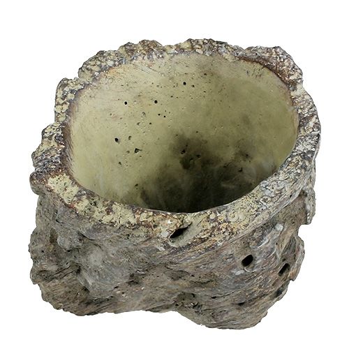 Floristik24 Maceta como tronco de árbol Ø10,5cm H12cm 2pcs