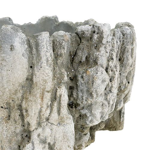 Floristik24 Maceta con corteza 20.5cm x 17cm 1pc