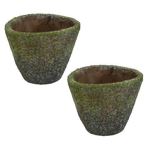 Floristik24 Maceta para plantar Ø12cm H11cm 2pcs