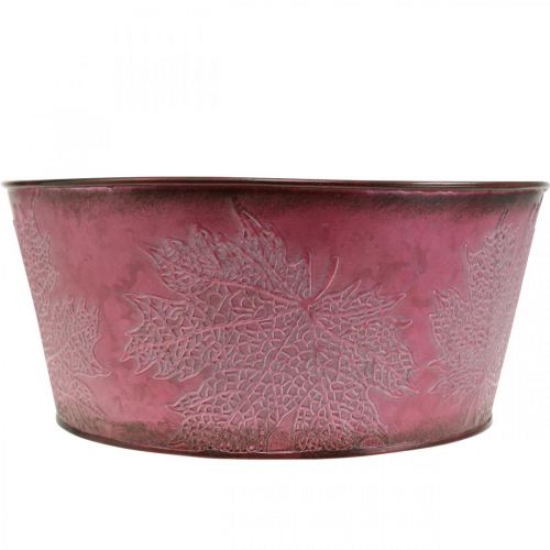 Artículo Cuenco para plantas de otoño, contenedor de metal con decoración de hojas, maceta decorativa vino tinto Ø25cm H11cm