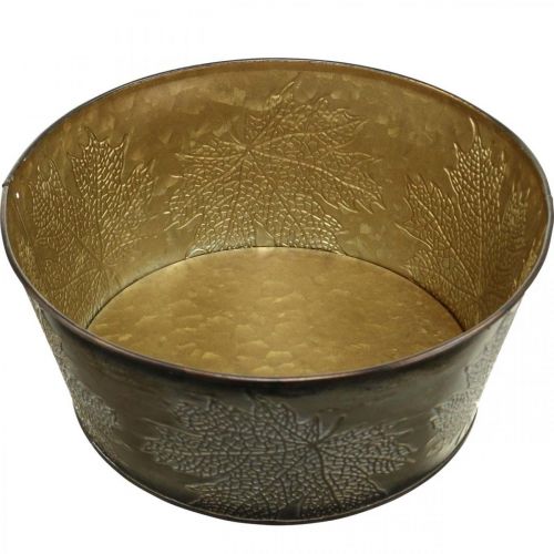 Floristik24 Cuenco de otoño, maceta de metal con decoración de hojas, macetero dorado Ø25cm H10cm
