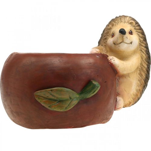 Artículo Jardinera, manzana con erizo, decoración de otoño, macetero, cerámica Ø16cm H22cm W33cm