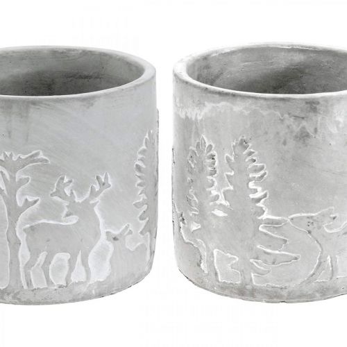 Floristik24 Macetero con motivo de bosque, decoración de Adviento, jardinera para Navidad, decoración de hormigón Ø10,5cm H11cm 4ud
