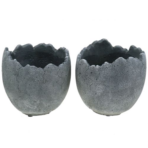 Floristik24 Macetero de hormigón cáscara de huevo Ø14,5cm 15cm 2pcs