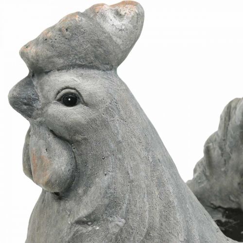 Floristik24 Pollo para plantar, decoración de Pascua, maceta, primavera, pollo decorativo aspecto cemento H30cm