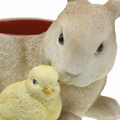 Floristik24 Decoración de Pascua para plantar, conejo y pollito, primavera, macetero H24cm L30cm