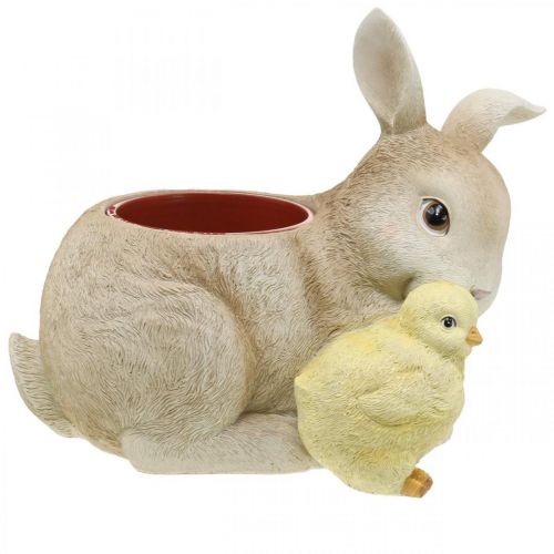 Floristik24 Decoración de Pascua para plantar, conejo y pollito, primavera, macetero H24cm L30cm