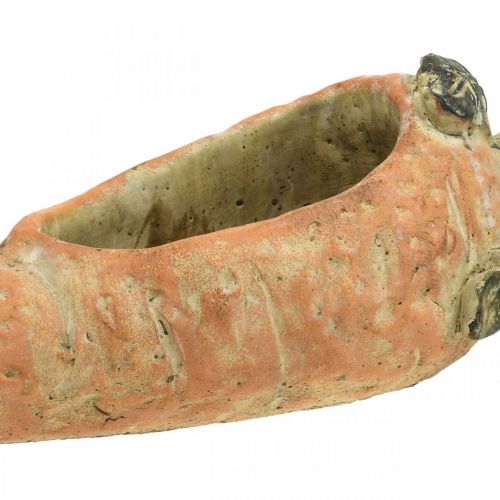 Artículo Zanahoria decorativa, decoración de hormigón para plantar, Pascua, maceta de zanahoria, decoración de primavera L28cm