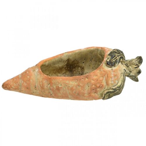 Artículo Zanahoria decorativa, decoración de hormigón para plantar, Pascua, maceta de zanahoria, decoración de primavera L28cm