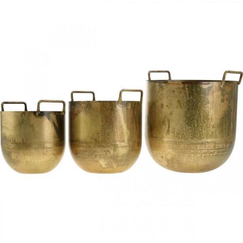 Floristik24 Macetero de aspecto antiguo con asas de metal Al 17 / 19,5 / 26 cm, juego de 3