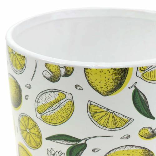 Floristik24 Jardinera amarillo limón Ø8/10/13cm juego de 3