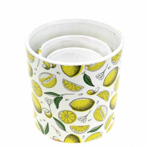 Floristik24 Jardinera amarillo limón Ø8/10/13cm juego de 3