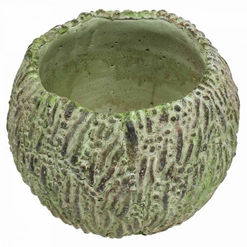 Artículo Jardinera hormigón aspecto envejecido verde, jardinera marrón Ø13cm