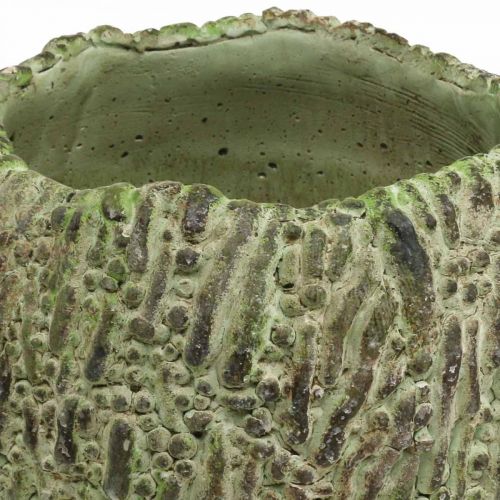 Artículo Jardinera hormigón aspecto envejecido verde, jardinera marrón Ø13cm