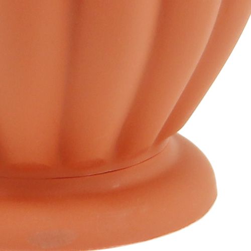 Floristik24 Maceta con base de terracota de plástico Ø 15cm - 21cm, 1 pc