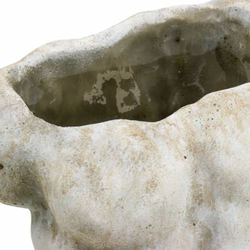 Floristik24 Macetero torso macho gris 19 × 13,5cm H28cm