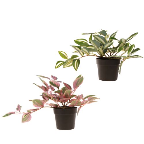 Artículo Tradescantia Planta verde artificial en maceta Al19,5cm 2uds