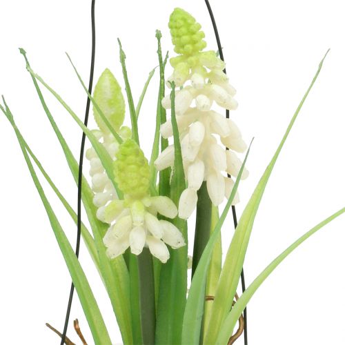 Artículo Jacinto de uva blanco en vaso para colgar Al. 22 cm