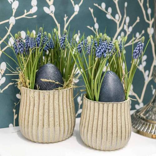 Artículo Jacintos de uva 28cm - 30cm Azul 15 uds