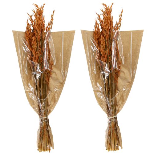 Artículo Dry Deco Avena Deco en Naranja L64cm 70-75g 2ud