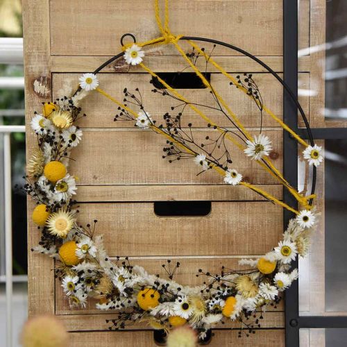Artículo Flor Seca Massasa Negro Decoración Natural 50-55cm Manojo 10uds
