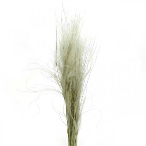 Artículo Flores secas deco hierba pluma hierba seca naturaleza 50g