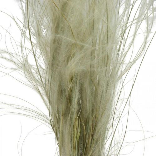 Artículo Flores secas deco hierba pluma hierba seca naturaleza 50g