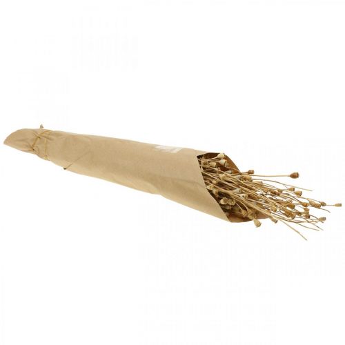 Artículo Flores secas cápsulas de semillas de amapola secas naturales decoración seca salvaje manojo 100g